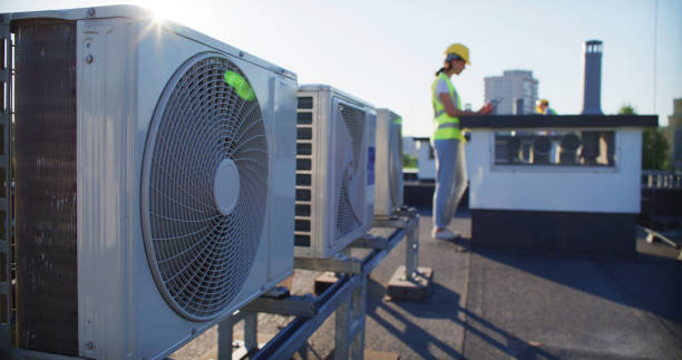 Best Air Duct Mold Removal  in Rankin, PA